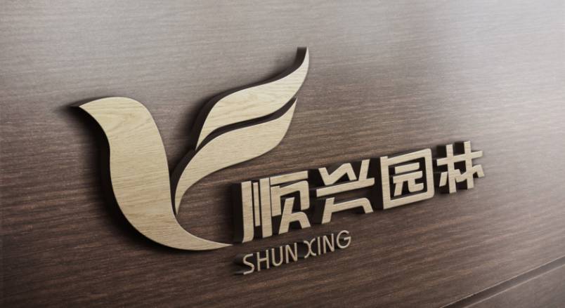 射阳县VI设计：城市品牌蝶变的核心引擎